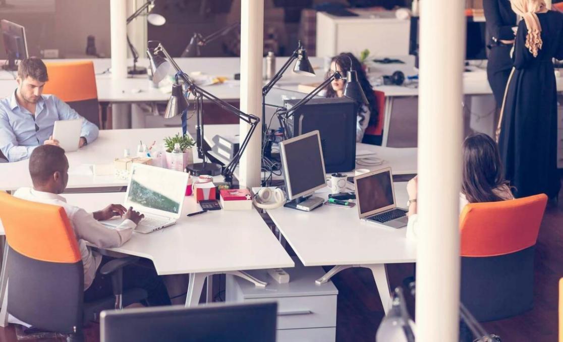 Interfaz de retroalimentación inmediata tras un cuestionario